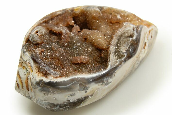 Chalcedony Replaced Gastropod With Sparkly Quartz - India #318692